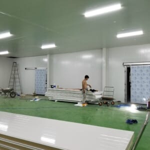 CHO THUÊ KHO LẠNH VŨNG TÀU CHO THUÊ KHO LẠNH VŨNG TÀU